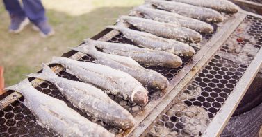 Festival Cultural e Gastronômico da Lagoa de Araruama acontece neste fim de semana, em São Pedro da Aldeia