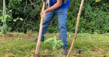 Mês do Meio Ambiente: sustentabilidade e saneamento marcam programação especial