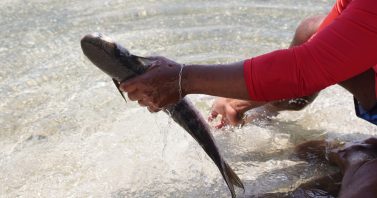 Dia Mundial da Água: Investimentos em saneamento impulsionam novo ciclo de desenvolvimento na região