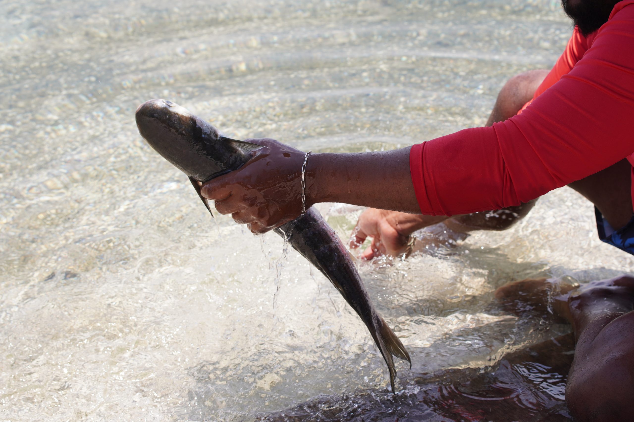 Dia Mundial da Água: Investimentos em saneamento impulsionam novo ciclo de desenvolvimento na região
